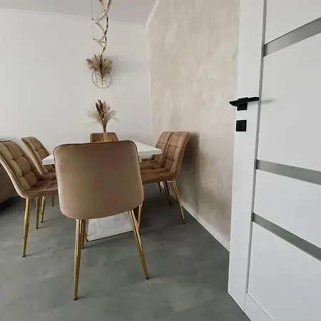 Ivory Luxe * Braşov